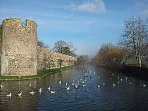 Bishops Palace, Wells